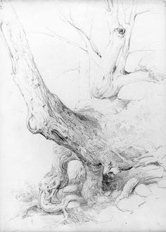 B Drawing Pencil 166 Best Trees Images In 2019 Drawings Drawing S Watercolor Painting