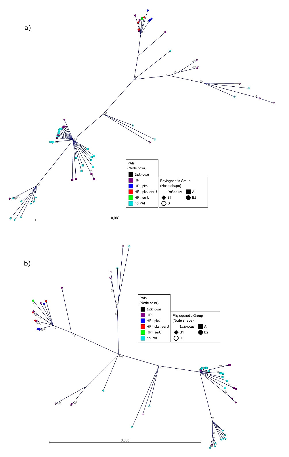 B Tree Drawing tool Investigation Of Horizontal Gene Transfer Of Pathogenicity islands