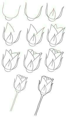 Basic Drawing Of A Rose 28 Best Easy Flower Drawings Images Canvas Paint Canvas Art