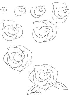 Basic Drawing Of A Rose How to Draw A Rose Step by Step Easy Google Search Draw