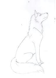 Basic Drawing Of A Wolf 180 Best Wolf Drawings Images Drawing Techniques Drawing