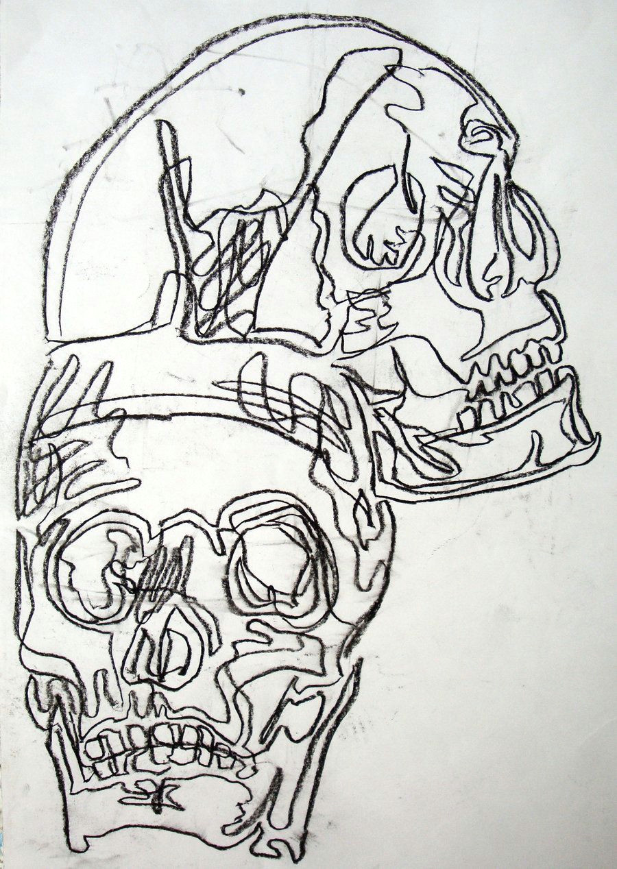 Basics Of Drawing Human Skulls Basic Drawing 1 Continuous Contour Skulls Drawing Inspiration
