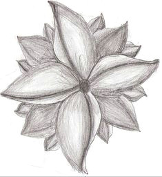 Beautiful Drawings Of Flowers Easy 61 Best Art Pencil Drawings Of Flowers Images Pencil Drawings