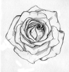 Best Drawing Of A Rose 136 Best Rose Drawings Images Painting Drawing Painting On