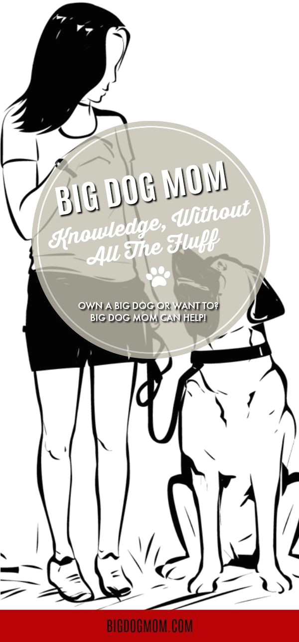 Big Drawing Dogs Do You Own A Big Dog or Want to Big Dog Mom Can Help Big Dog Mom