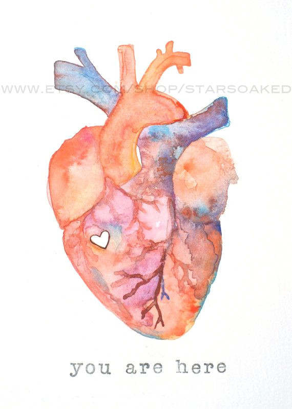 Biological Drawing Of A Heart Dissection Anatomy Of Love Human Heart Watercolor Print Diy Inspiration