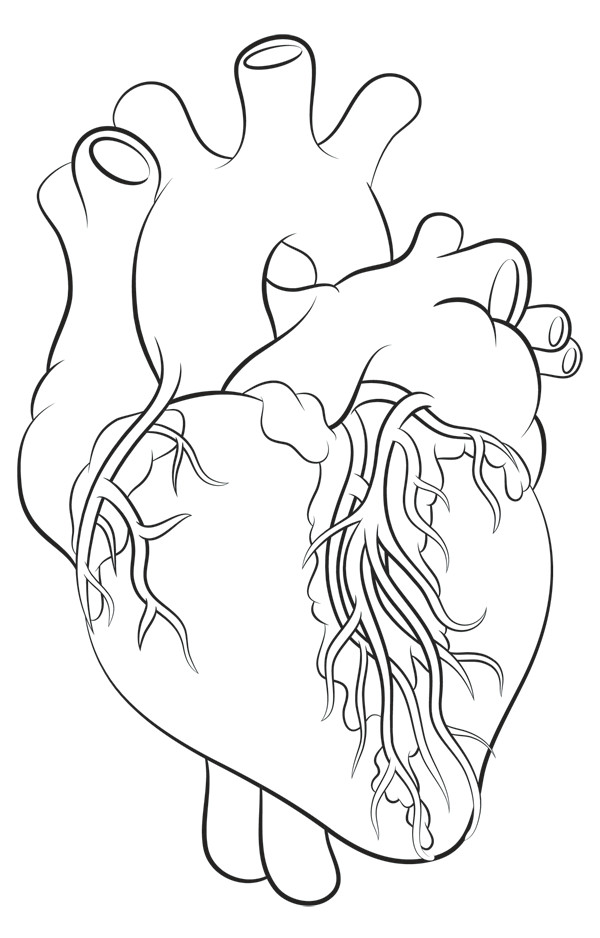 Black Line Drawing Of A Heart How to Draw A Heart Science Drawing Lesson Drawing Ideas 3 In