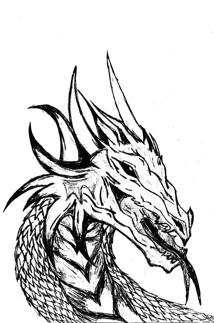 Black Line Drawings Of Dragons Free Dragon Drawings Black and White Download Free Clip Art Free