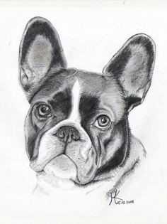 Bulldogs Drawing 14 Best Bulldog Drawing Images In 2019 Drawings English Bulldogs