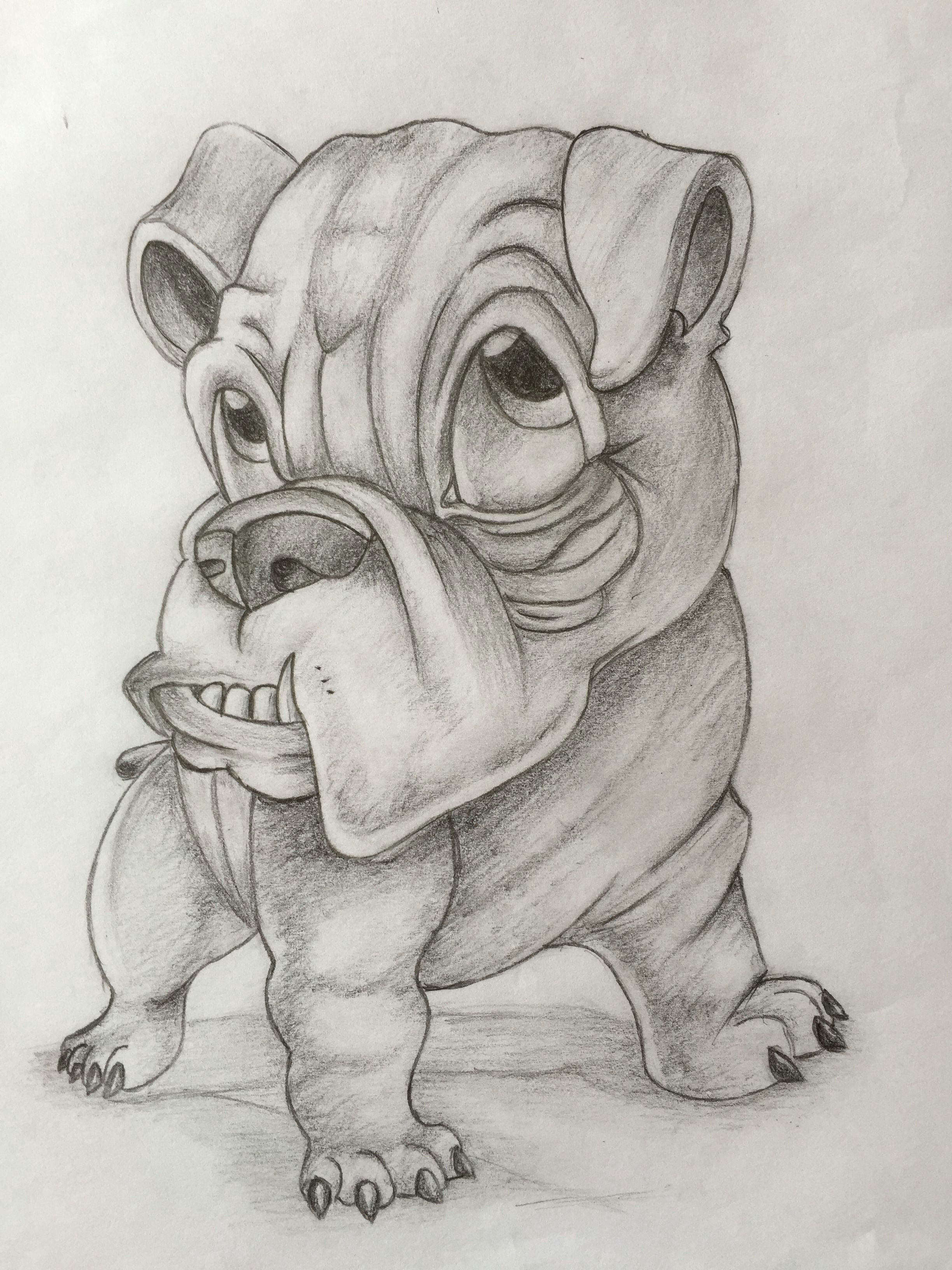 Bulldogs Drawing Bulldog Desenhos Pinterest