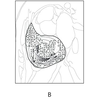 C Drawing Pixels Estimating Spatial Motion Of Pixel Using Optical Flow assume the