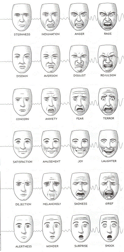 Cartoon Drawing Definition Categories Of Emotion as Defined by Facial Expressions It S Good