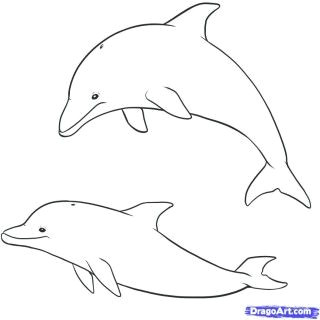Cartoon Drawing Dolphin How to Draw Cute Cartoon Sea Creatures Litle Pups Pool Stuff