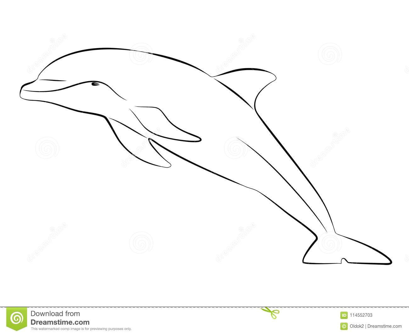 Cartoon Drawing Dolphin Silhouette Dolphin Vector Draw Stock Vector Illustration Of Image