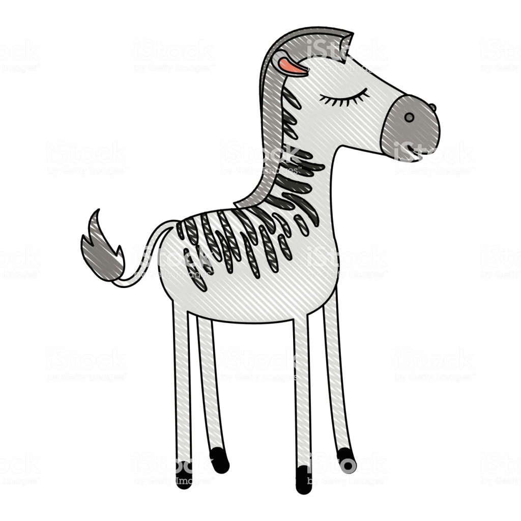Cartoon Drawing Donkey Weibliche Zebra Cartoon Mit Geschlossenen Augen Ausdruck Farbige