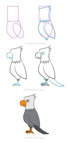 Cartoon Drawing Eagle 122 Best How to Draw Eagles Images Pencil Drawings Animal