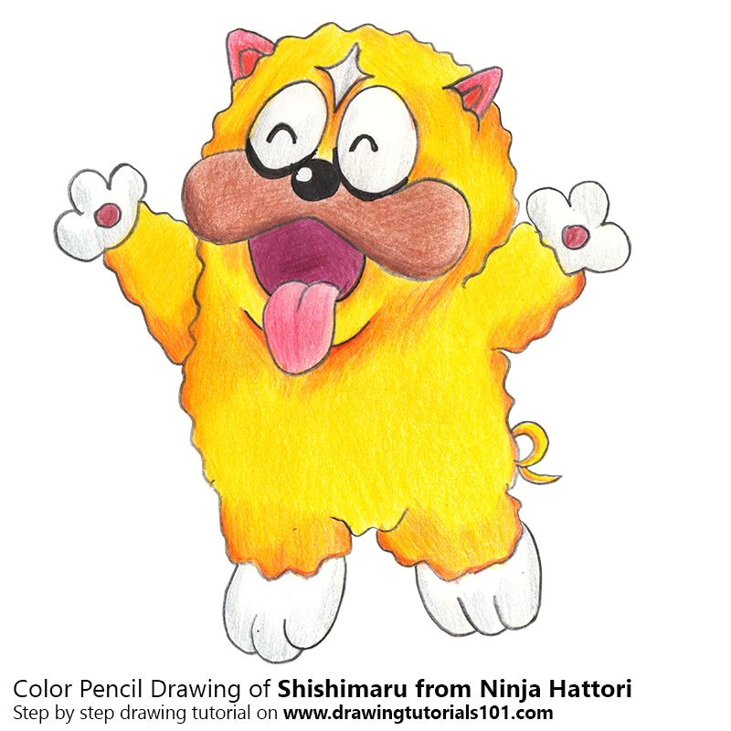 Cartoon Drawing Easy with Colour Shishimaru From Ninja Hattori with Color Pencils Time Lapse