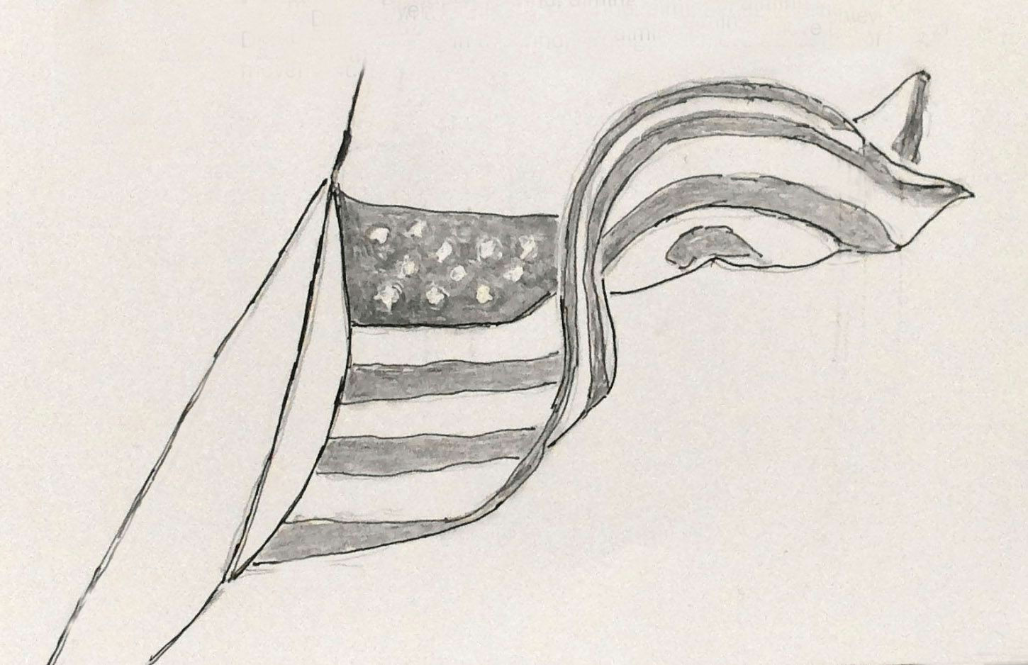 Cartoon Drawing Exercises Daily Drawing No 180 Flying the Flag Just Draw One Thing today