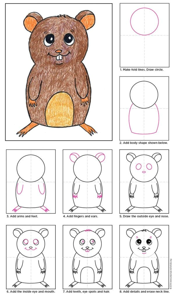 Cartoon Drawing for Class 1 Hamster Mirm Drawings Art Art Projects