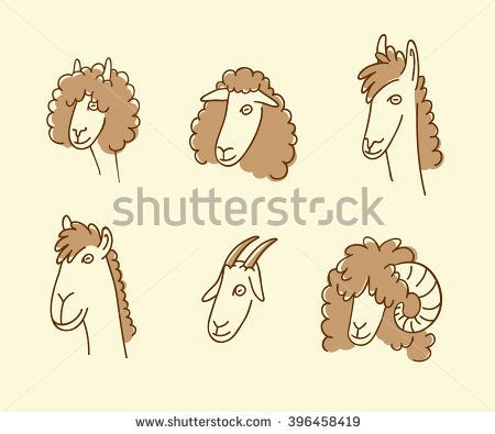 Cartoon Drawing Goat Wool Animals Icons Outlined Cartoon Head Collection Of Sheep