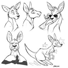 Cartoon Drawing Kangaroo 36 Best Kangaroos Images Drawings Kangaroo Drawing Character Design