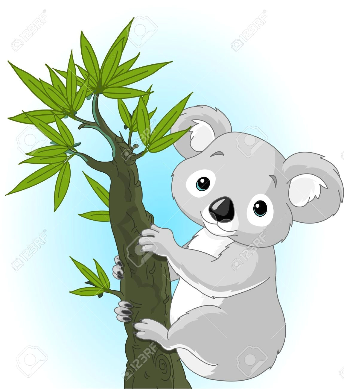 Cartoon Drawing Koala Image Result for Koala Clipart 3d Koala Clip Art Animals Cute