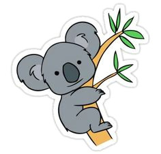 Cartoon Drawing Koala Koalas Cartoon Pics Cute Cartoon Koala Bear On Eucalyptus Tree