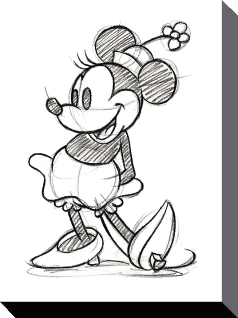 Cartoon Drawing Minnie Mouse Minnie Mouse Disney Sketched Single Official Canvas Print