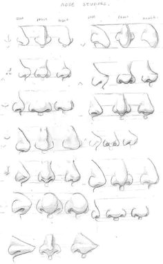 Cartoon Drawing Nose How to Draw A Nose From the Front 7 Easy Steps Tutorials