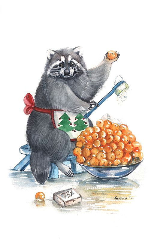Cartoon Drawing Raccoon Pin by H On Beaver byte Racoon Cookies Illustration Draw Raccoon Art