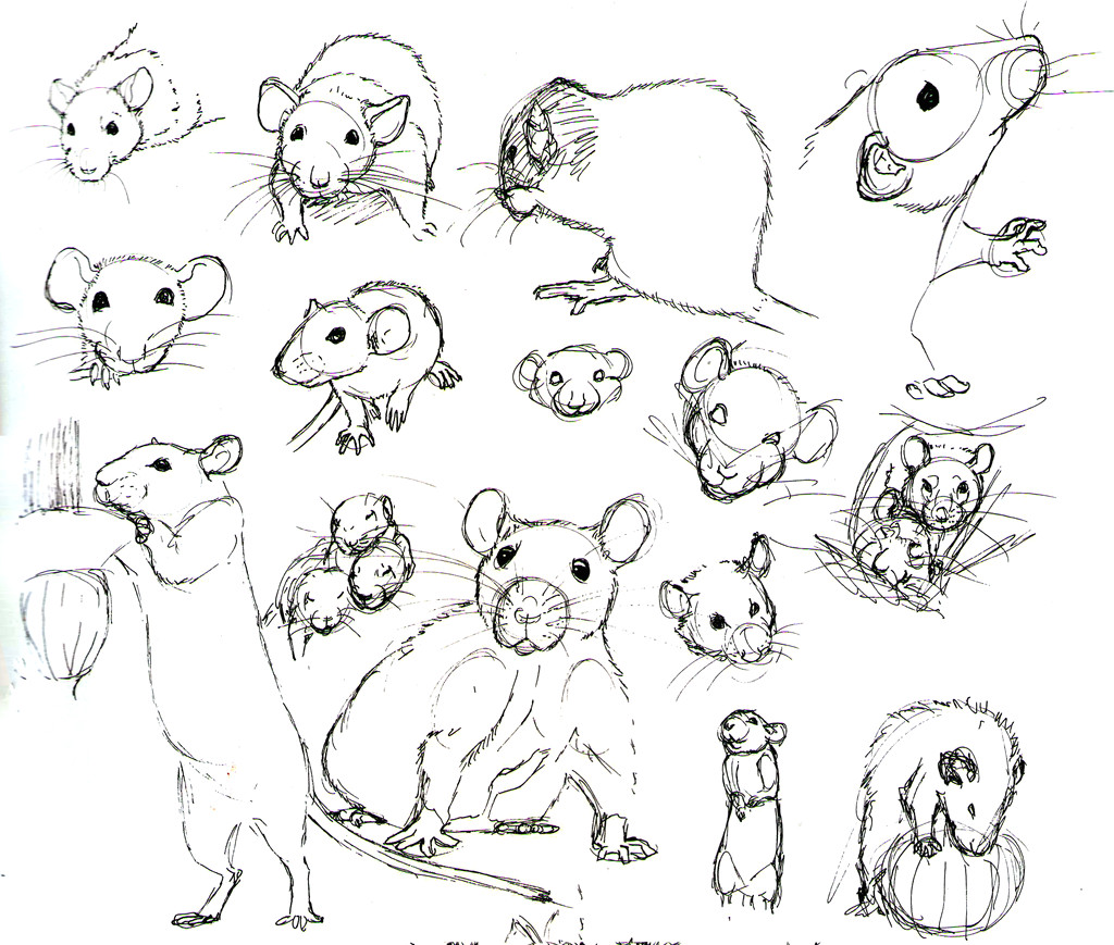 Cartoon Drawing Rat Rat Practice 10 by Never Mor Deviantart Com On Deviantart Draw It