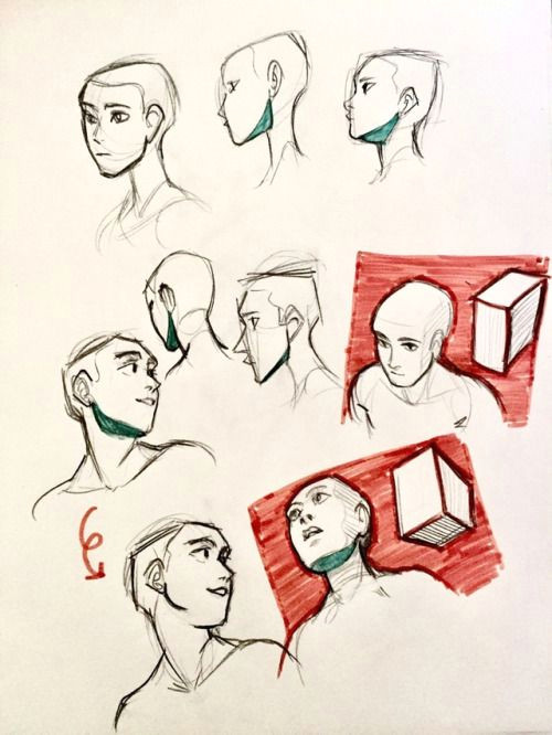 Cartoon Drawing Table Hopeless Aromantic Anatomy Pinterest Drawings Drawing Heads