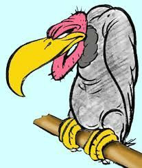 Cartoon Drawing Vulture 19 Best Cartoon Vulture Tattoo Images Cartoon Vulture Draw