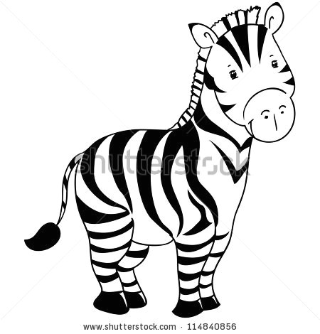 Cartoon Drawing Zebra Animated Zebra Pictures Image Group 84
