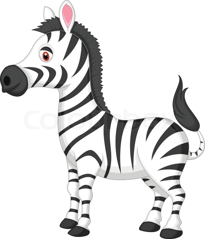 Cartoon Drawing Zebra Animated Zebra Pictures Image Group 84