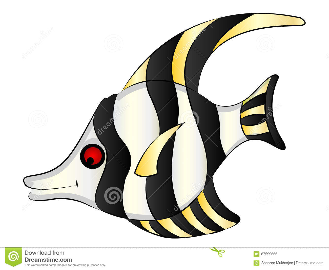 Cartoon Drawing Zebra Cartoon Aquarium Angel Fish Stock Vector Illustration Of Zebra