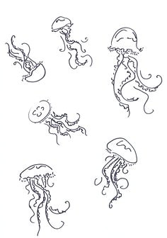 Cartoon Jellyfish Drawing 53 Best Jellyfish Drawing Images Marine Life Ocean Creatures