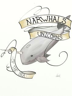 Cartoon Narwhal Drawing 232 Best Narwhal Drawing Images Narwhal Drawing Unicorns Narwhal