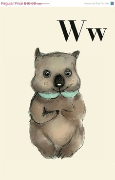 Cartoon Quokka Drawing 30 Best Wombat Images Australian Animals Drawings Wombat Stew