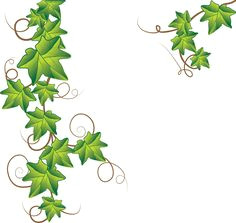 Cartoon Vines Drawing Draw A Jungle Vine Leaves and Vines Drawings Vine Drawing Vines