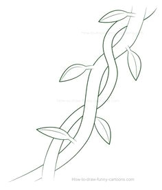 Cartoon Vines Drawing Drawings Of Flowers Leaves and Vines to Draw Vines Step by Step