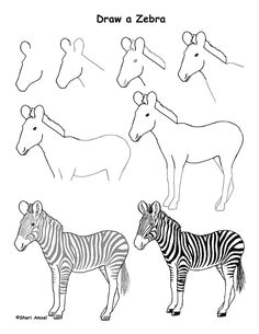 Cartoon Zebra Drawing Step by Step 45 Best Zebra Drawing Images Zebra Art Zebra Drawing Zebra Painting