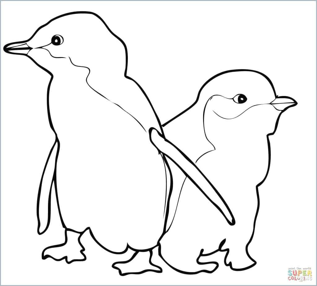 Cartoons Drawings to Color Penguin Coloring Pages Amazing Printable Coloring Pages Line New