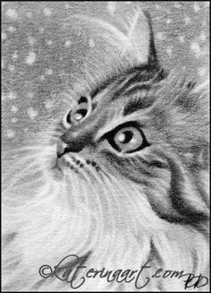 Charcoal Drawing Of A Cat 138 Best 16 Cats Art Pencil Charcoal Drawings Images Pencil