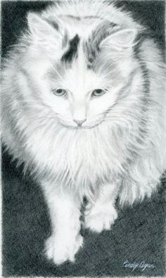 Charcoal Drawing Of A Cat 138 Best 16 Cats Art Pencil Charcoal Drawings Images Pencil