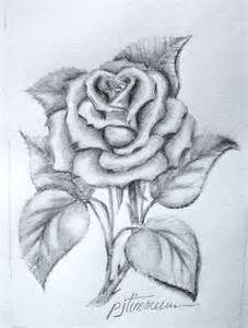 Charcoal Drawing Of A Rose 61 Best Art Pencil Drawings Of Flowers Images Pencil Drawings