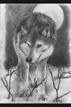 Charcoal Drawing Of A Wolf Die 2282 Besten Bilder Von Wolfe Phantasie Drawings Wolf