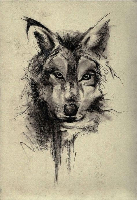 Charcoal Drawing Of A Wolf Wolf Face Sketch Art Wallpaper Wolves Wolf Tattoos Tattoos