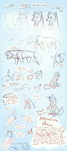 Child Drawing Of A Wolf 109 Best Wolf Images Wolf Drawings Art Drawings Draw Animals