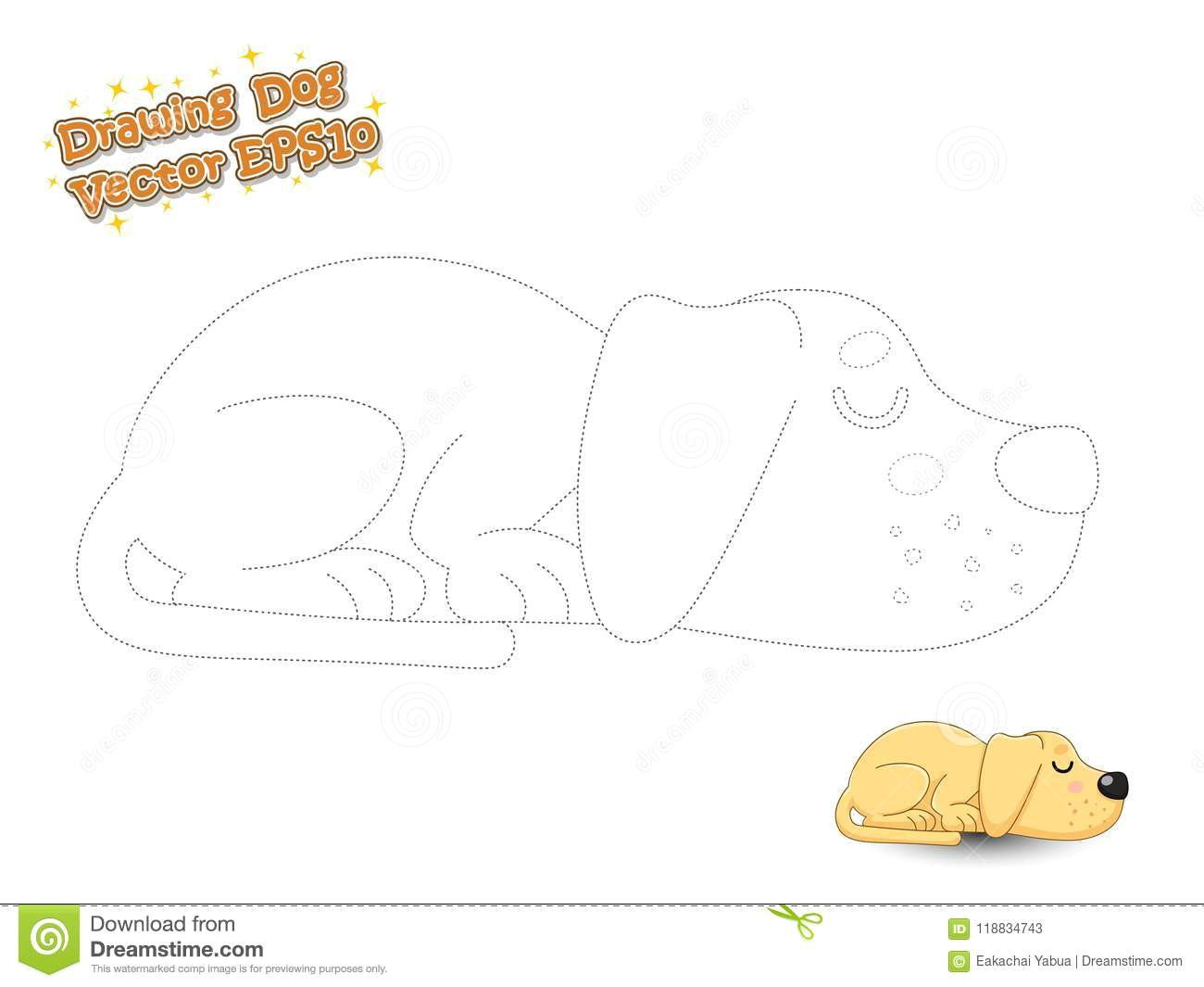 Children S Drawing Of A Dog Drawing and Coloring Cute Cartoon Dog Puppy Labrador Educationa